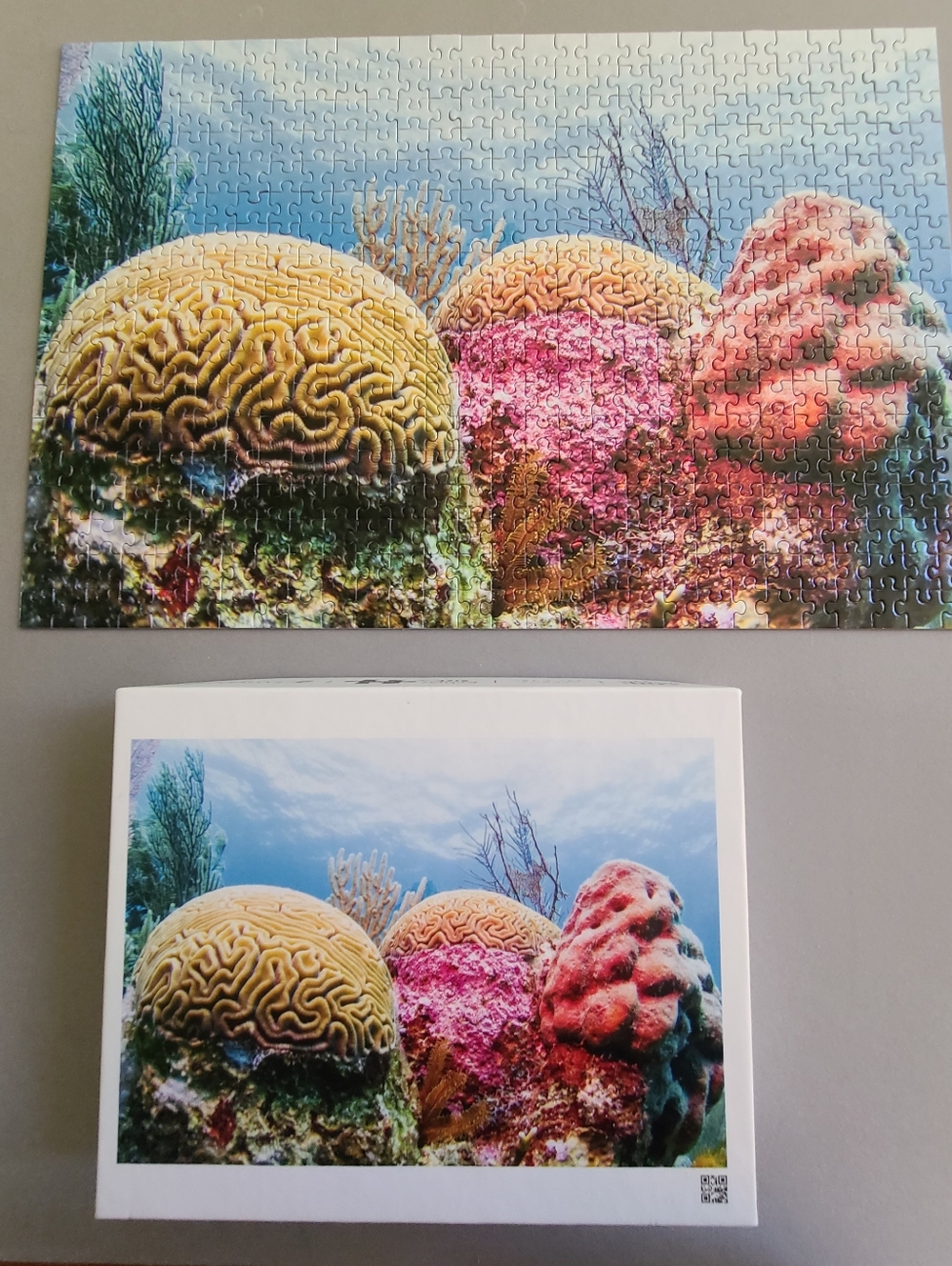 Brain Coral Belize Barrier Reef Ocean Vibrant Marine Nature Jigsaw Puzzle ~ USA